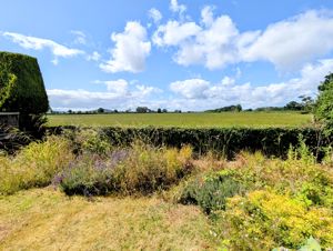 Photo 21- click for photo gallery